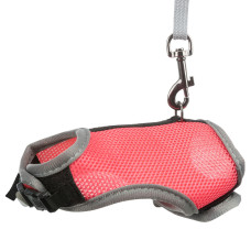 PEITORAL COM TRELA ELÁSTICA PARA ROEDORES PEITORAL COM TRELA ELÁSTICA PARA ROEDORES